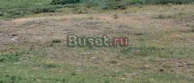 Земельный участок в Кировском районе Самары Самара