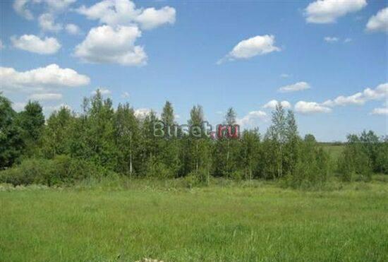 Участок 20 соток, 96 км от МКАД Москва