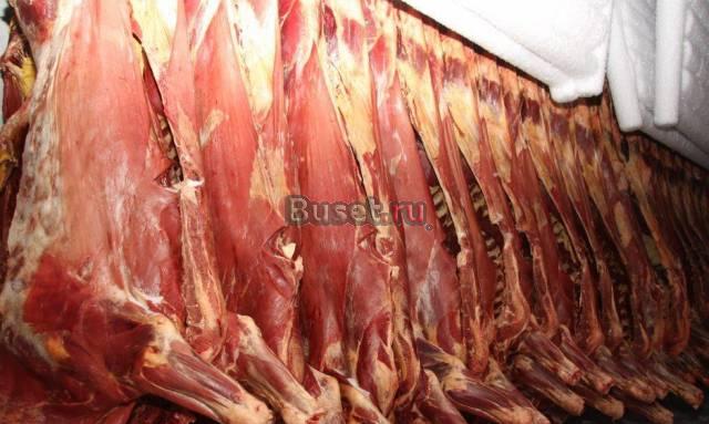 Закупаем мяса говядины, свинины в  полутушах Москва