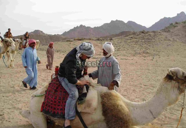 Туры в Египет Пенза