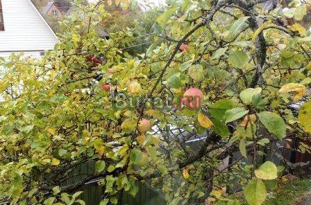 Продается  участок 6 сот. , м Москва