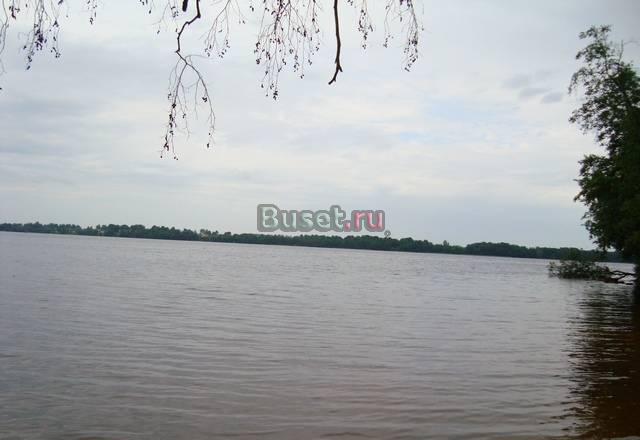 Участок 24 сот в Лужском р-оне Санкт-Петербург