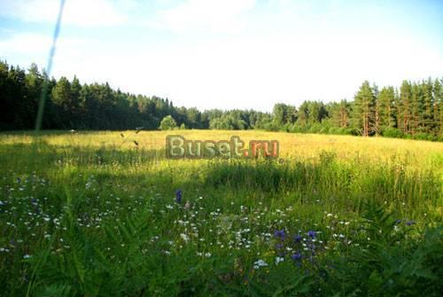 Продаю участок 3 га в Карелии на берегу (можно под турбазу) Сортавала