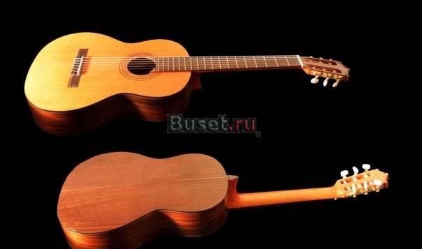 Ovation Elite USA и Martinez Custom Shop Санкт-Петербург