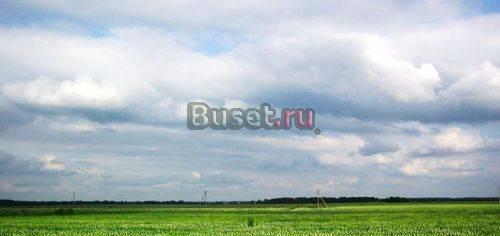 20 соток ижс 50км МКАД Горьковское Щелковское Москва