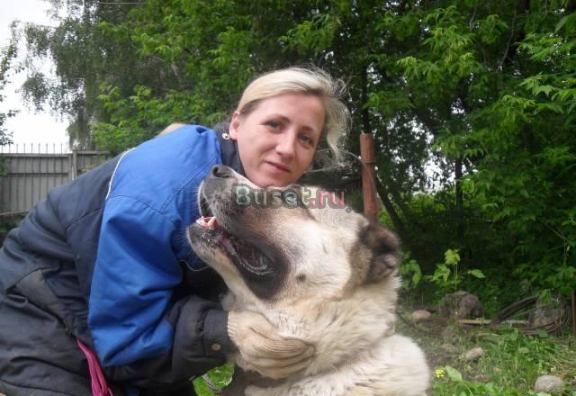 Дрессура собак Москва