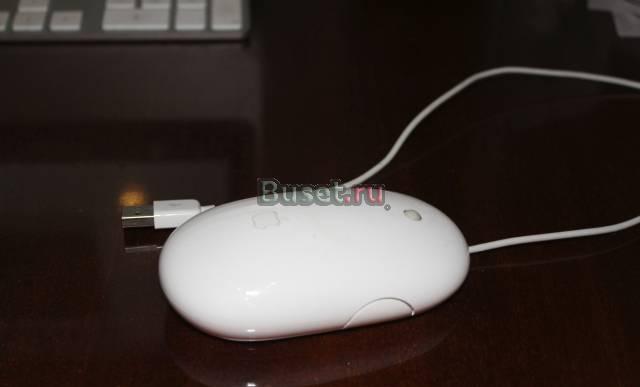 Мышь Apple Санкт-Петербург