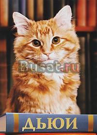  Вики Майрон. Дьюи. Кот из библиотеки... Москва