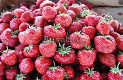 Отдых в Крыму. Феодосия. Частный сектор.Комнаты Москва