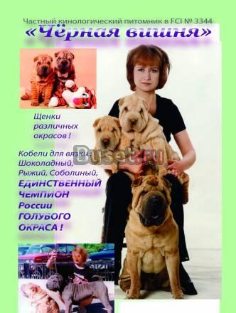 шарпей щенки недорого Челябинск