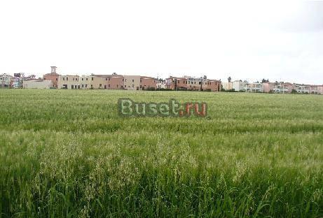 Земля на Кипре на второй линии от моря Москва