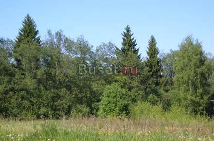 30 соток Газ, эл-во, речка, прописка Наро-Фоминск