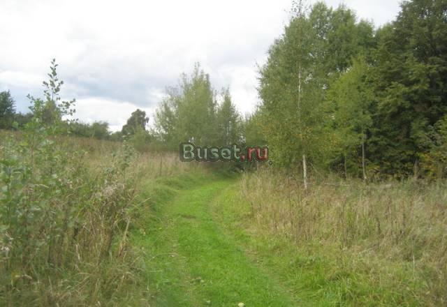 Участок 10 соток в красивом месте, деревня Волынцы Жуков