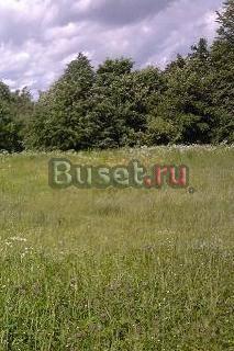 Участок в Батецком Чудово