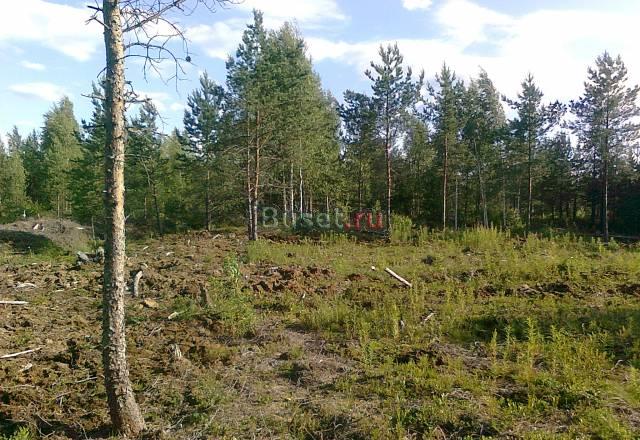 Участки в Ломоносовском р-не Санкт-Петербург