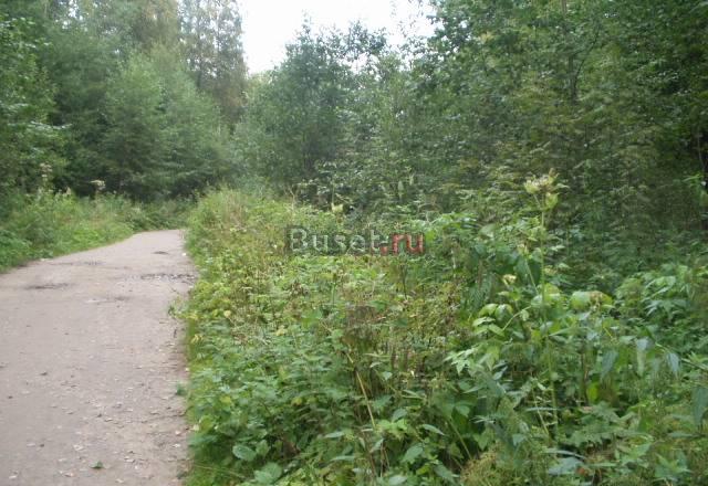 Продаю участок в садоводстве Пупышево Санкт-Петербург