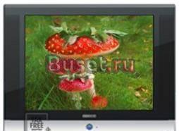 ЖК-телевизор 20" TCL 20B10 F50 Москва