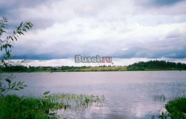 40 сот. на р. Волхов в Новгородской области Санкт-Петербург