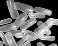 Верхние формы для наращивания ногтей (100шт) Москва