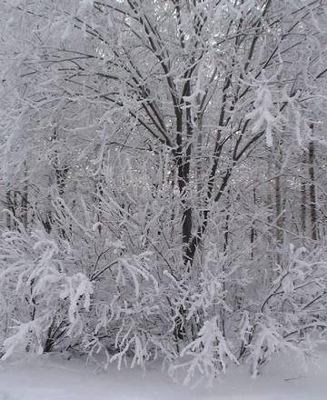 Avon Санкт-Петербург