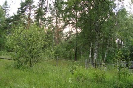 Участок ижс площадью 12 соток в поселке Васкелово Санкт-Петербург