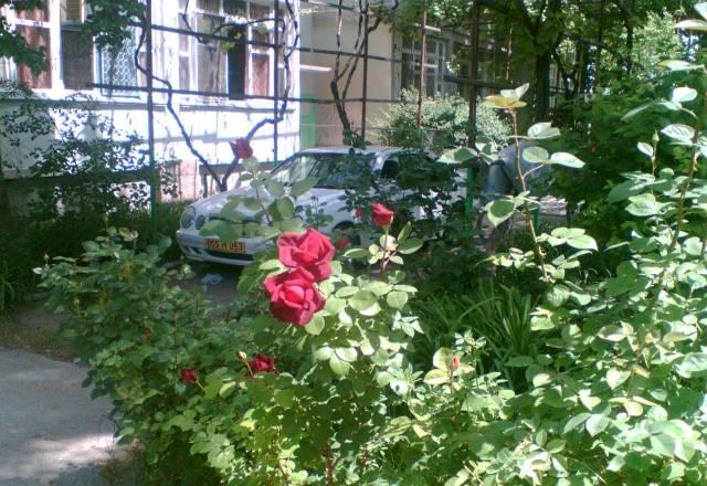 Квартира Санкт-Петербург