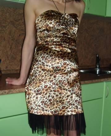 Последняя коллекция DG Москва