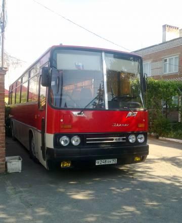 Ikarus-256 Краснодар