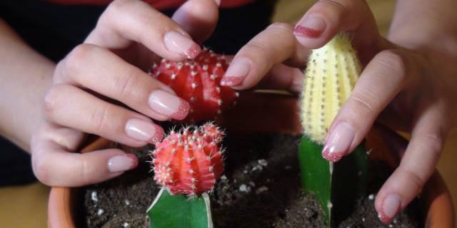 Наращивание за 700 рублей(любой вид дизайна) Москва