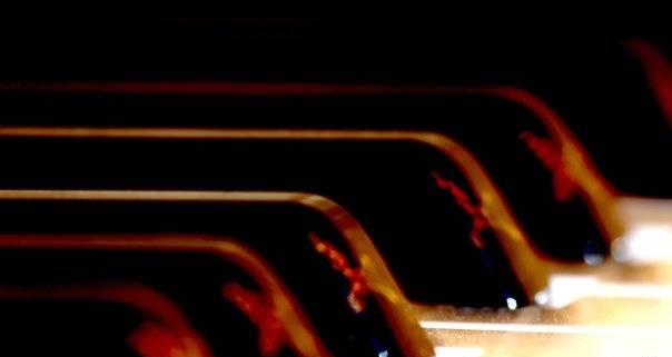 Классическая музыка на ваше мероприятие Санкт-Петербург