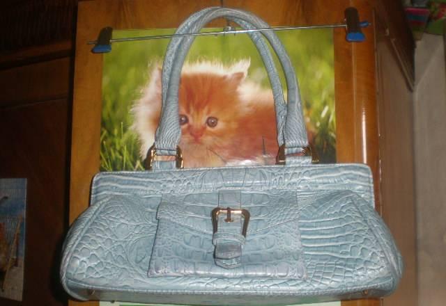 Сумка Москва