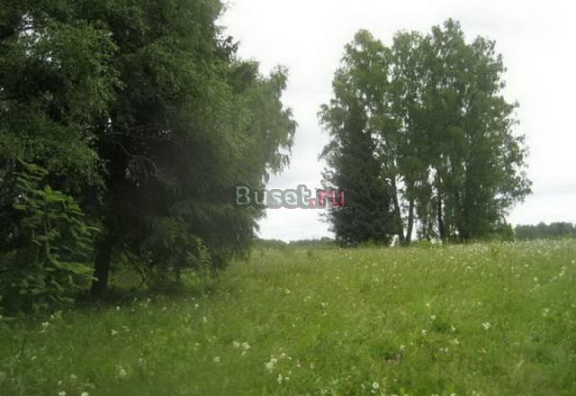 Участок 3,34 га с/х назначения, деревня Волынцы Жуков