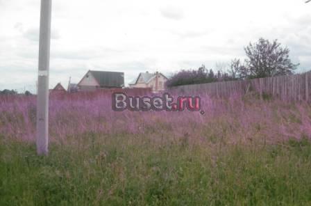 Земельный участок в с. Ям Переславского района Переславль-Залесский