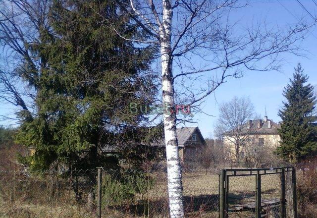 Тосненский р-н, Ушаки пос Санкт-Петербург