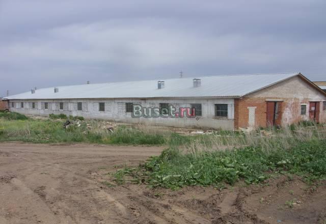 Здание фермы Уфа