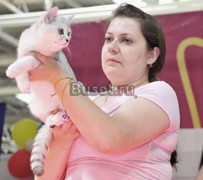 "Плюшевые британские котята" Барнаул