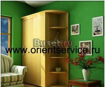 Шкаф-купе 2х дверный. Доставка в подарок Москва
