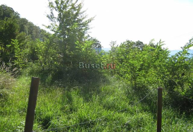 4 сотки в 250м от пляжа Сочи Сочи