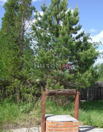 Продам дачу по Велижанскому тракту, 20км, 10 соток Тюмень