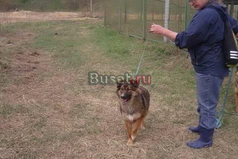 Молодой и умный красавец в дар Москва