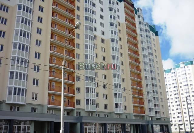 Однокомнатная квартира на Богатырском Санкт-Петербург