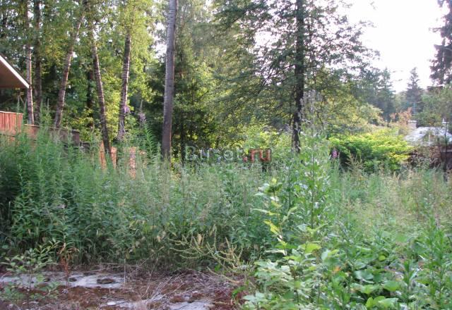 Дом с участком Москва