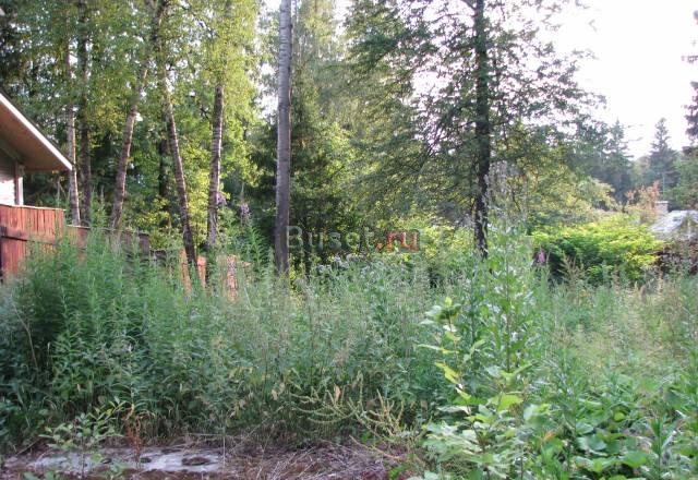 Участок с домом Москва