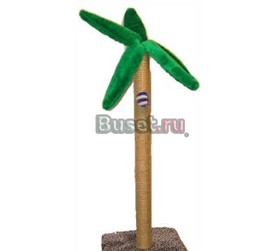 Когтеточка для кошек "Пальма" 1м Санкт-Петербург