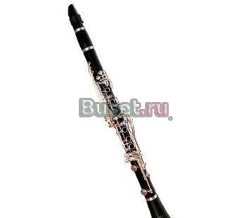 Кларнеты Alina Pro Москва