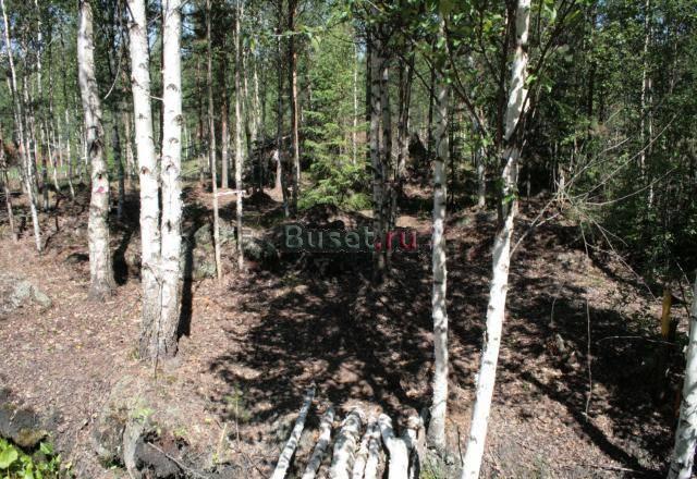 Грузино 10 сот 600тр Санкт-Петербург