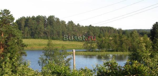 Продаю  участок  9 соток на берегу  (ПМЖ, прописка) Санкт-Петербург
