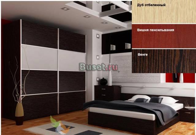 Шкаф-купе 242х240х60см с матовым стекло -Люкс Москва