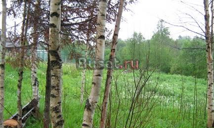 Земельный уч. в Сярьгах Всеволожск