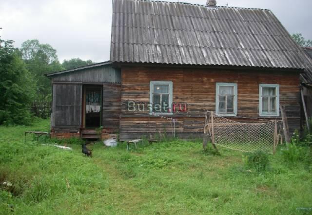 Крестецкий район  д. Большая болотница Великий Новгород